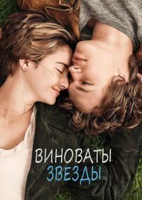 Виноваты звезды (2014) The Fault in Our Stars