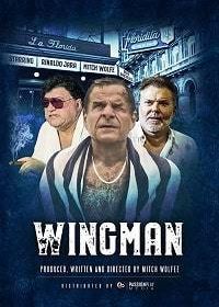Напарник (2020) WingMan