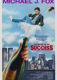 Секрет моего успеха (1987) The Secret of My Success