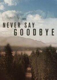 Никогда не говори "прощай" (2019) Never Say Goodbye