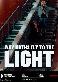 Почему мотыльки летят на свет? (2020) Why Moths Fly to the Light?