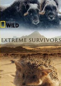 National Geographic. Выжить несмотря ни на что (2014) Extreme Survivors