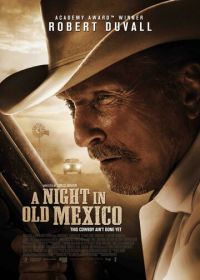 Ночь в старой Мексике (2013) A Night in Old Mexico