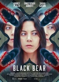 Чёрный медведь (2020) Black Bear