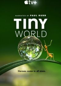 Крошечный мир (2020) Tiny World