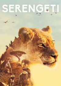 BBC: Серенгети (2019) Serengeti