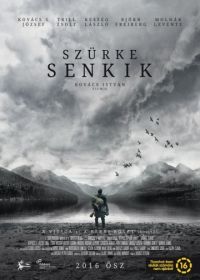 Серые посланцы (2016) Szürke senkik
