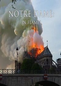 Нотр-Дам в огне (2019) Notre Dame: In Flames