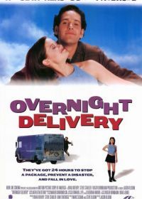 Ночная посылка (1998) Overnight Delivery