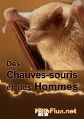 Летучие мыши и люди (2009) Des Chauves-souris et des Hommes