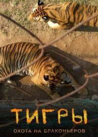 Тигры: Охота на браконьеров (2020) Tigers: Hunting the Traffickers