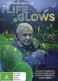 Живой свет с Дэвидом Аттенборо (2016) Attenborough's Life That Glows