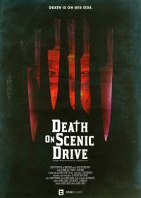Смерть на сцене (2017) Death on Scenic Drive
