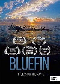 Голубой тунец (2016) Bluefin