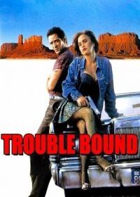 Впереди одни неприятности (1992) Trouble Bound