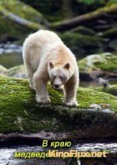 National Geographic. В краю медведей-призраков (2012) Moksgm'ol: The Quest for the Spirit Bear