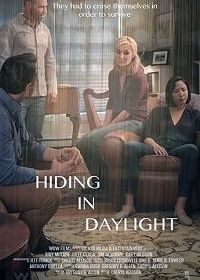 У всех на виду (2019) Hiding in Daylight