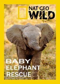 Спасение слонёнка (2018) Baby Elephant Rescue