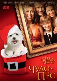 Чудо-пес (2011) My Dog's Christmas Miracle