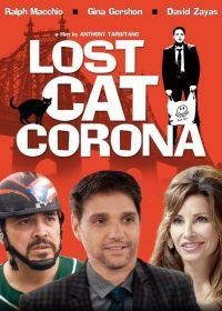 В Короне пропал кот (2015) Lost Cat Corona