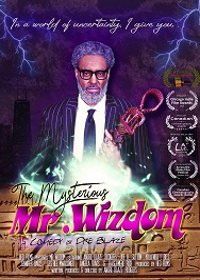 Загадочный Мистер Виздом (2020) The Mysterious Mr. Wizdom