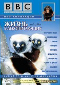 BBC: Жизнь млекопитающих (2002) The Life of Mammals
