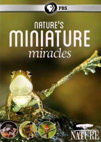 BBC: Миниатюрные чудеса (2017) Nature's Miniature Miracles