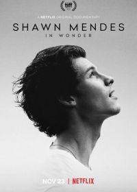 Шон Мендес: In Wonder (2020) Shawn Mendes: In Wonder
