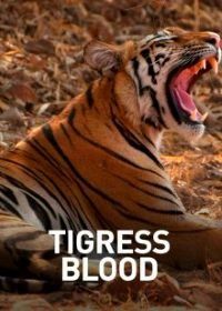 Animal Planet. Банда тигриц (2014) Tigress Blood