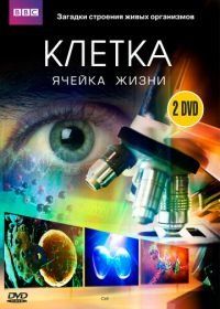 BBC: Клетка (2009) The Cell