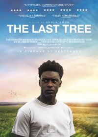 Последнее дерево (2019) The Last Tree