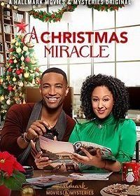 Рождественское чудо (2019) A Christmas Miracle