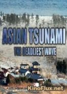 Азиатские цунами: Смертельная волна (2014) Asian Tsunami: The Deadliest Wave