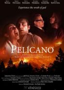 Пеликан (2019) Pelícano