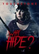 Зачем прятаться? (2018) Why Hide?