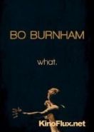 Бо Бёрнем: Что. (2013) Bo Burnham: what.