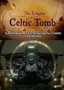 Раскрывая секреты кельтских гробниц (2017) L'Enigme de la Tombe Celte