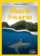 Полчища акул (2017) Shark Swarm