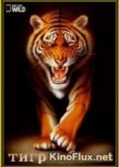 National Geographic. Тигр в бегах (2015) Tiger on the Run