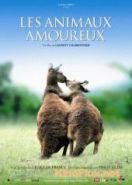 Влюбленные животные (2007) Les animaux amoureux