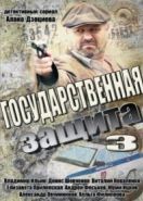 Государственная защита 3 (2013)