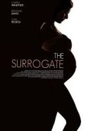 Суррогатная мать для звезды (2020) Secret Life of a Celebrity Surrogate / The Surrogate