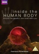 Внутри человеческого тела (2011) Inside the Human Body