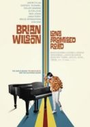 Брайан Уилсон: Долгожданная дорога (2021) Brian Wilson: Long Promised Road