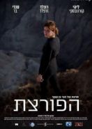 Взломщица (2016) The Burglar