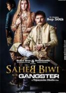 Господин, его жена и гангстер / Треугольник (2011) Saheb Biwi Aur Gangster