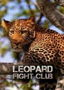 Бойцовский клуб для леопарда (2013) Leopard Fight Club