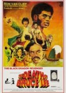 Месть черного дракона (1975) Long zheng hu dou jing wu hun