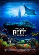 Последний риф 3D (2012) The Last Reef 3D
