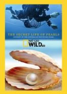 National Geographic. Секретная жизнь жемчужин (2015) The Secret Life of Pearls